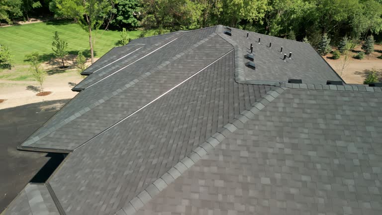 Best Green or Eco-Friendly Roofing Solutions  in Bellwood, VA